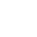 Basketbol ikonu